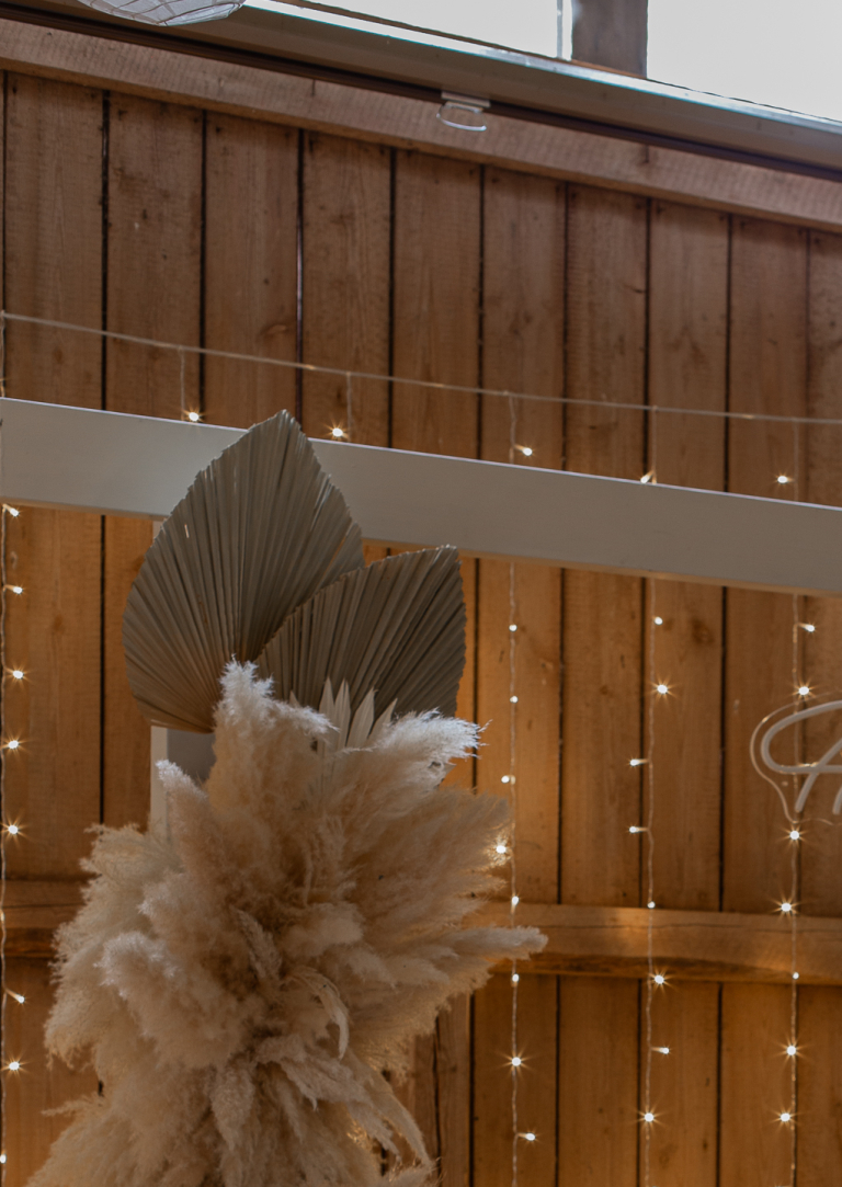 somistevuokraamo_isoja_palmunlehtiä_tuotekuva